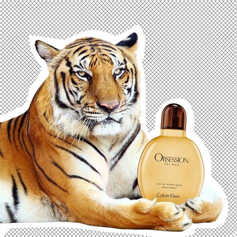 calvin klein tiger perfume